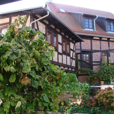 Ferienhaus Sontag Wolgast Exterior foto