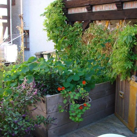 Ferienhaus Sontag Wolgast Exterior foto
